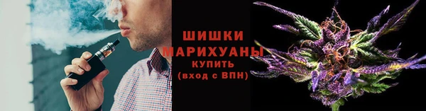 стаф Пестово