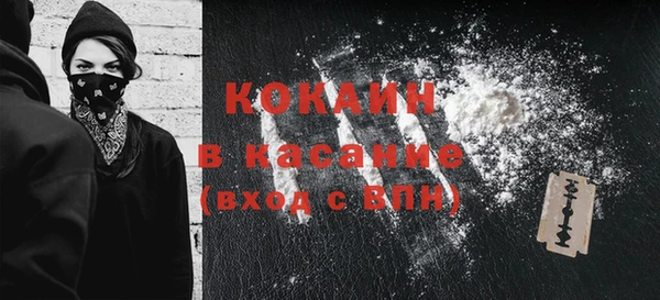 дурь Пересвет